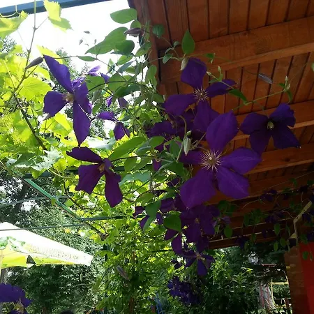 ホリデーパーク туристически комплекс