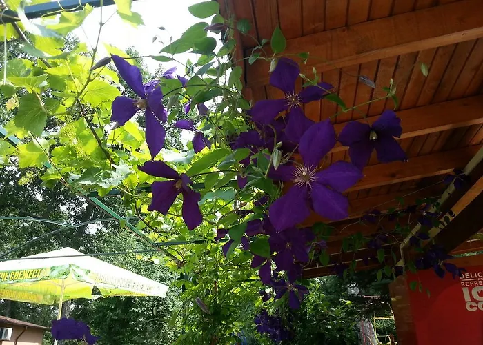 Parque de vacaciones туристически комплекс